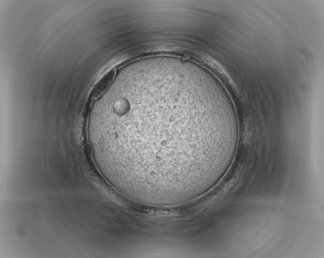 X0000115030786200911091342