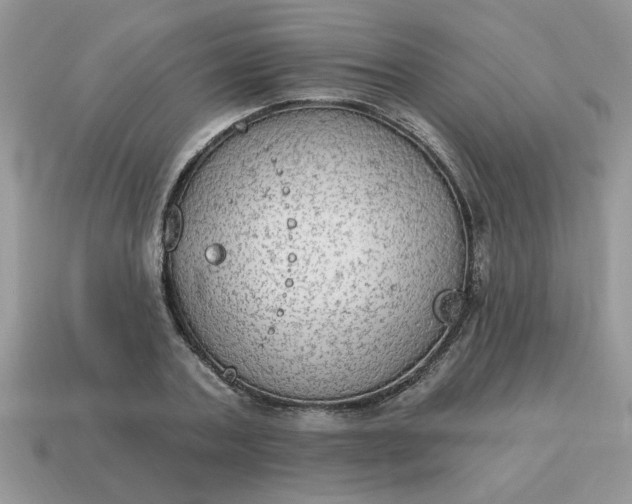X0000115030787200911091342