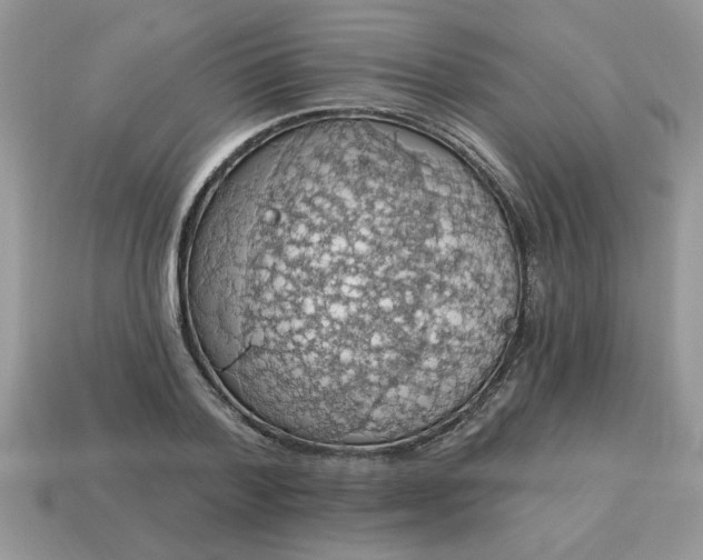 X0000115030788200911091342