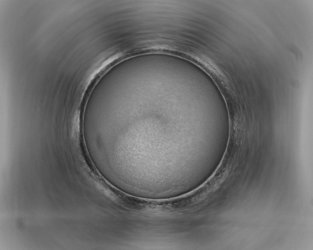 X0000115030790200911091342