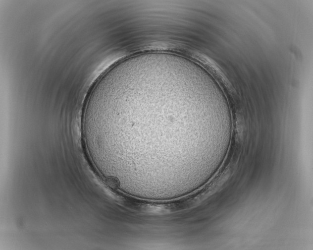 X0000115030794200911091341