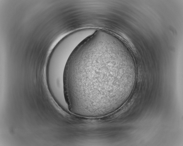 X0000115030796200911091341