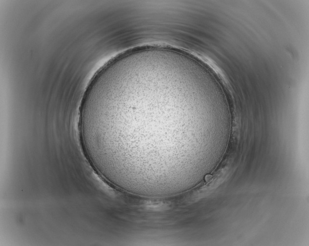 X0000115030799200911091341
