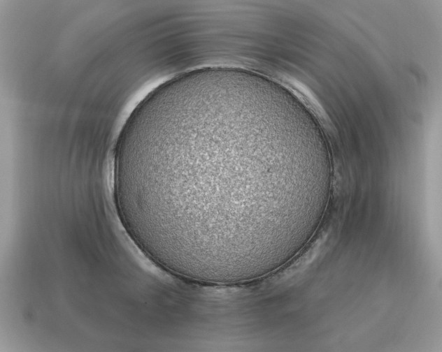 X0000115030804200911091341