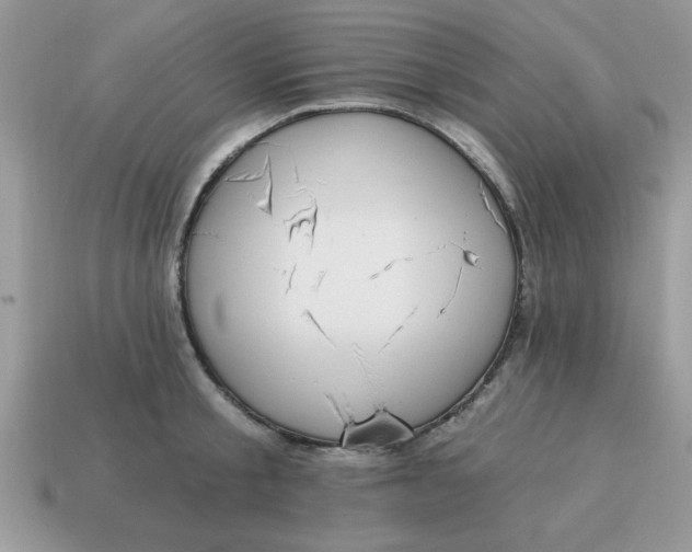 X0000115030805200911091341