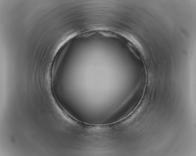 X0000115030806200911091341