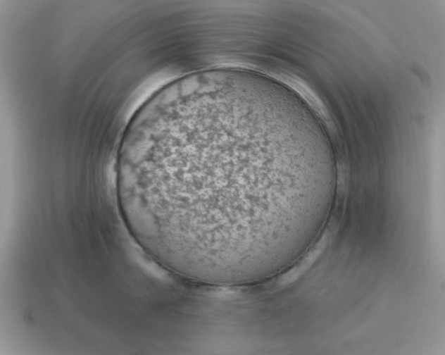 X0000115030814200911091341