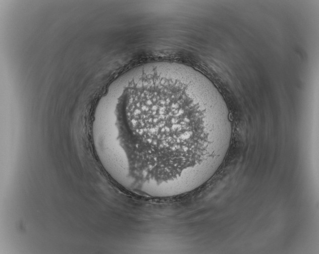 X0000115030817200911091341