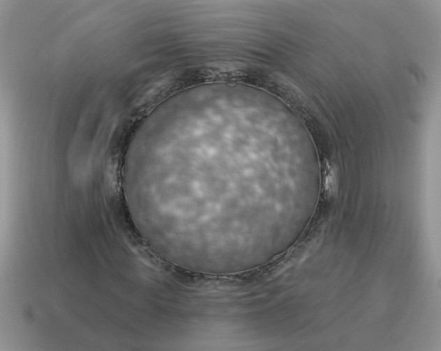 X0000115030819200911091341