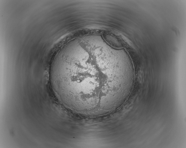 X0000115030821200911091341