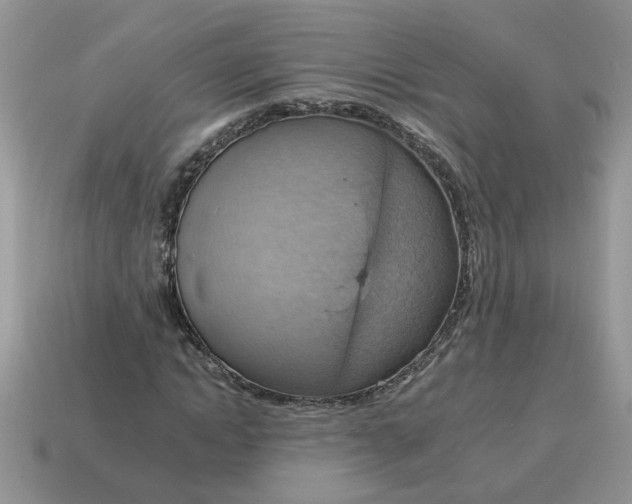 X0000115030822200911091341