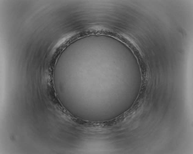 X0000115030823200911091341