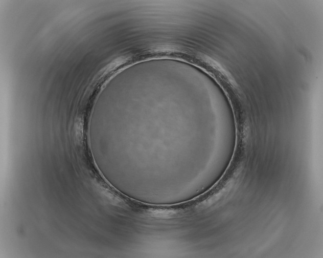 X0000115030825200911091341