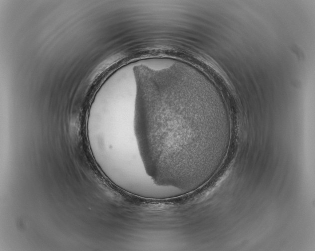 X0000115030826200911091341