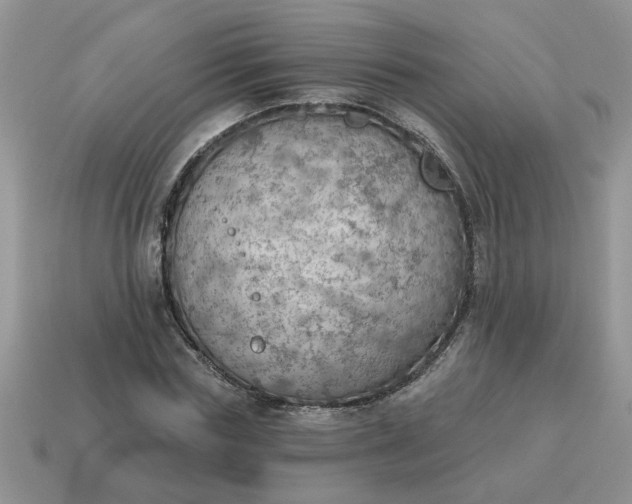 X0000115030827200911091341