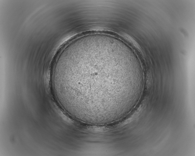 X0000115030831200911091341