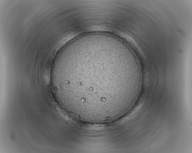 X0000115030833200911091341