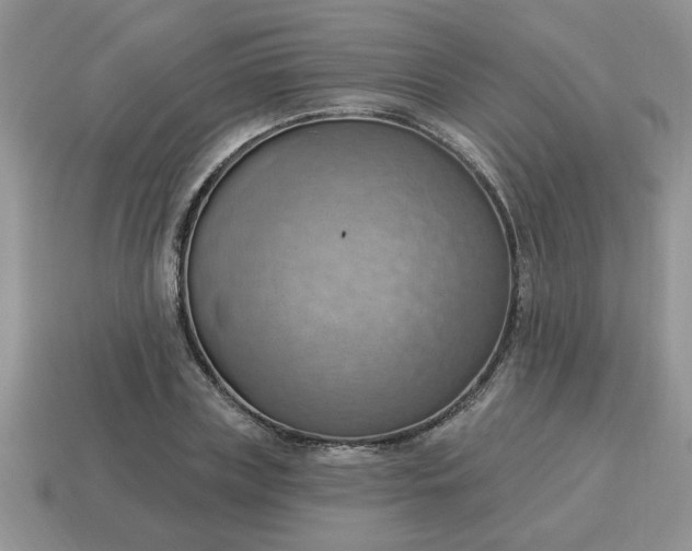 X0000115030835200911091341