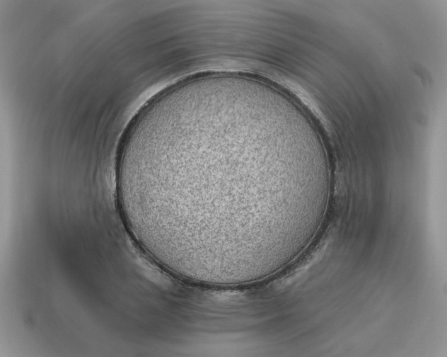 X0000115030837200911091341