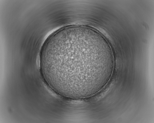 X0000115030838200911091341
