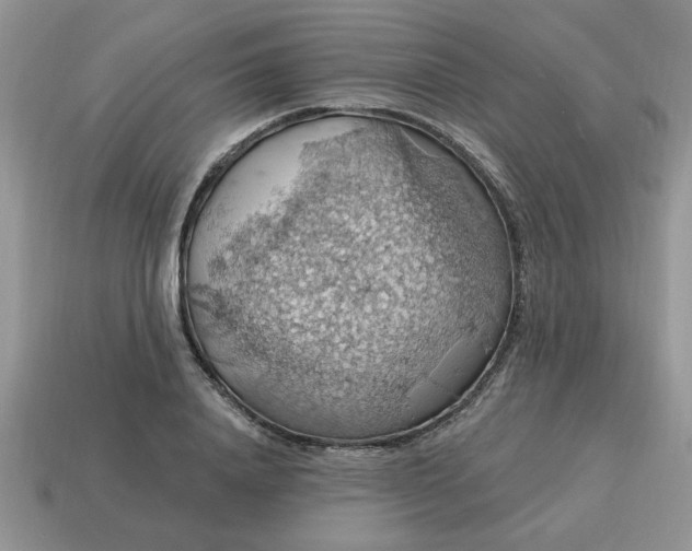 X0000115030840200911091341