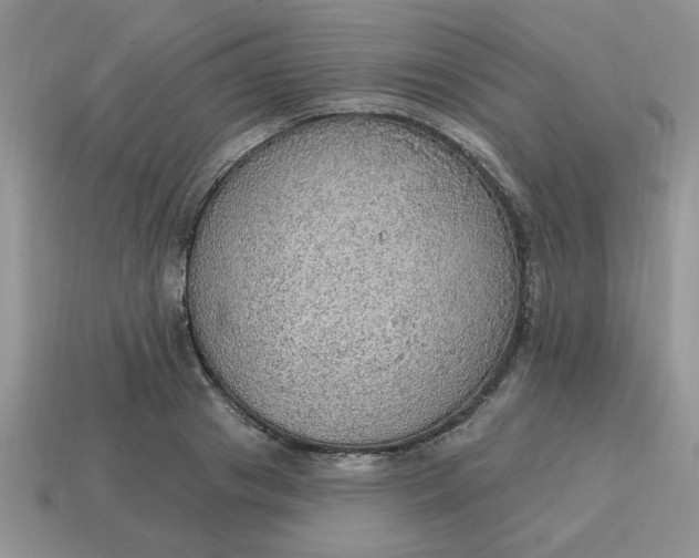 X0000115030841200911091341