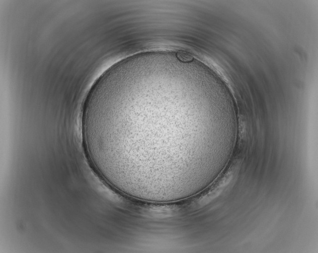 X0000115030843200911091341