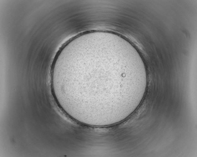 X0000115030848200911091341