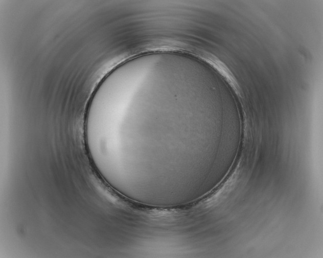 X0000115030850200911091341