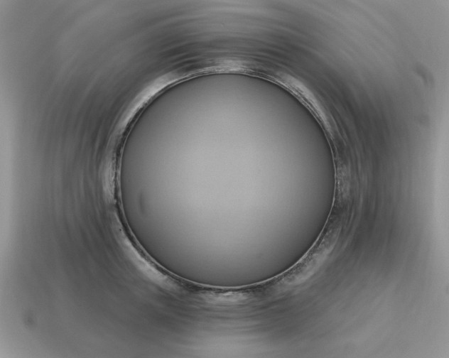 X0000115030851200911091341