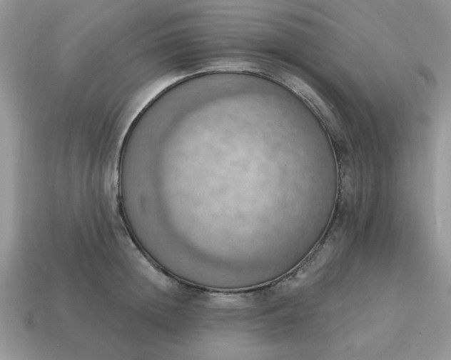 X0000115030852200911091341
