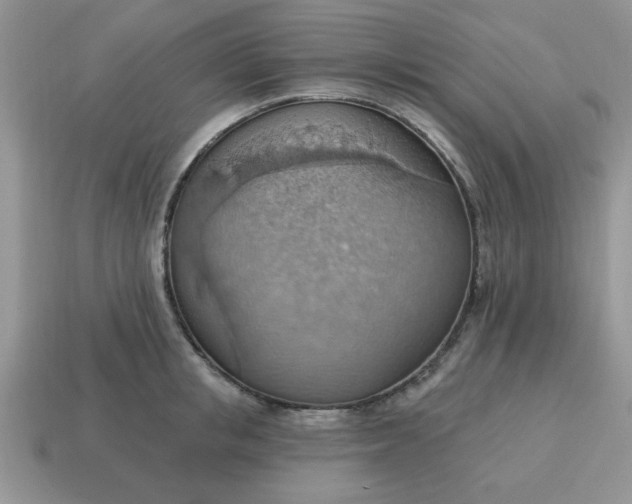 X0000115030853200911091341
