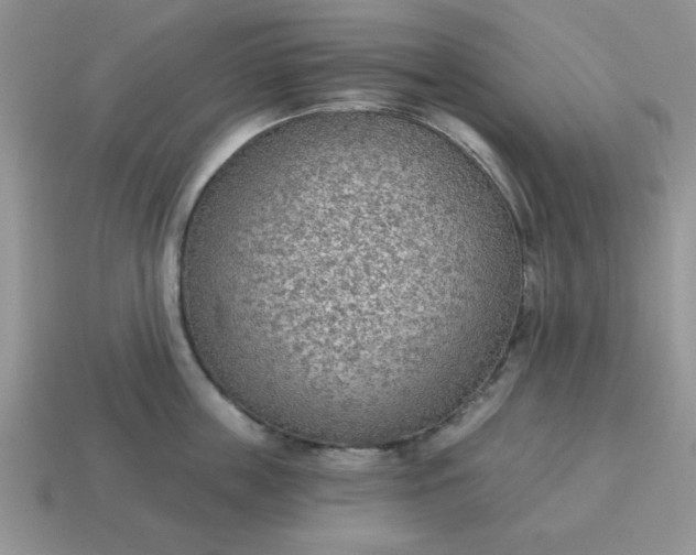 X0000115030859200911091341