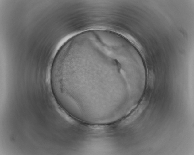 X0000115030862200911091341