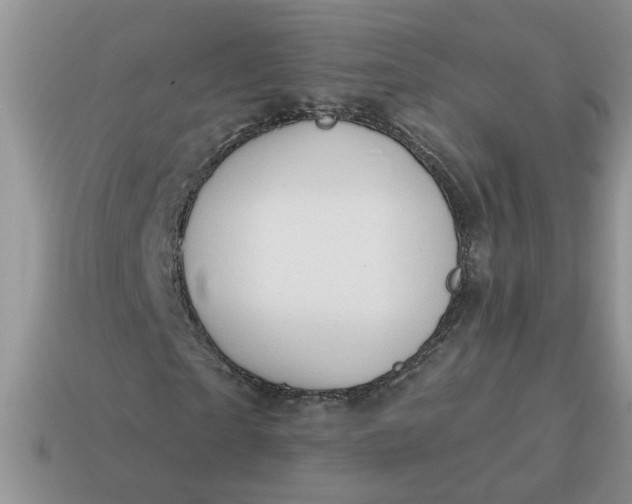 X0000115030865200911091341