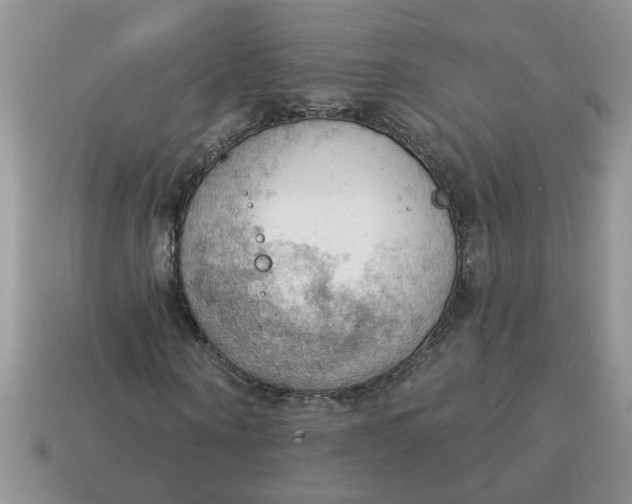 X0000115030866200911091341