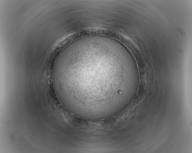 X0000115030870200911091340