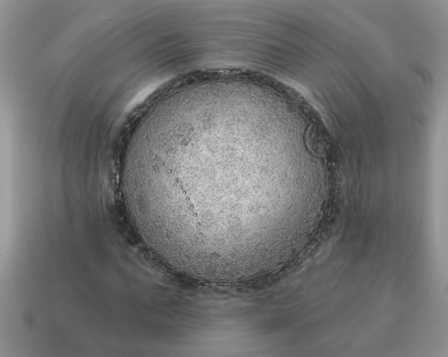 X0000115030871200911091340