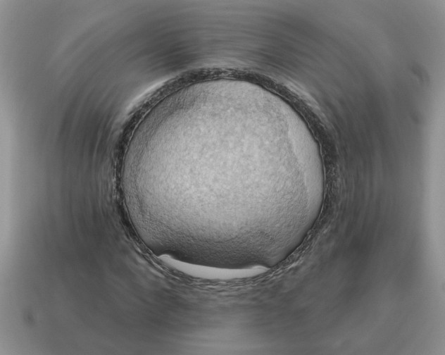 X0000115030872200911091340