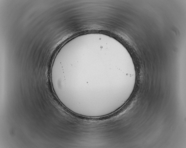 X0000115030873200911091340