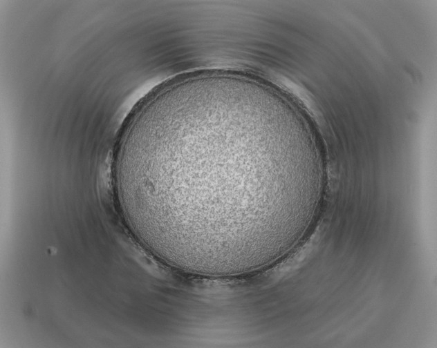 X0000115030875200911091340