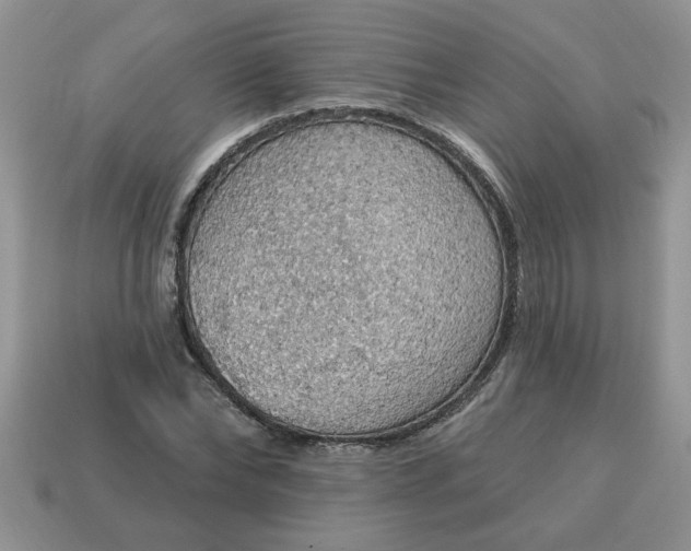 X0000115030878200911091340