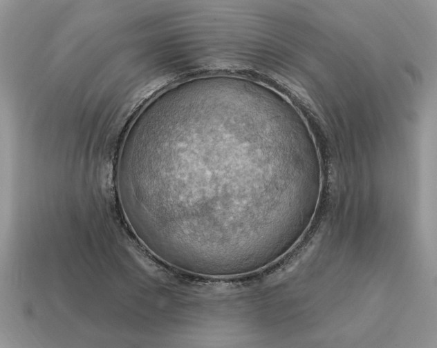 X0000115030881200911091340