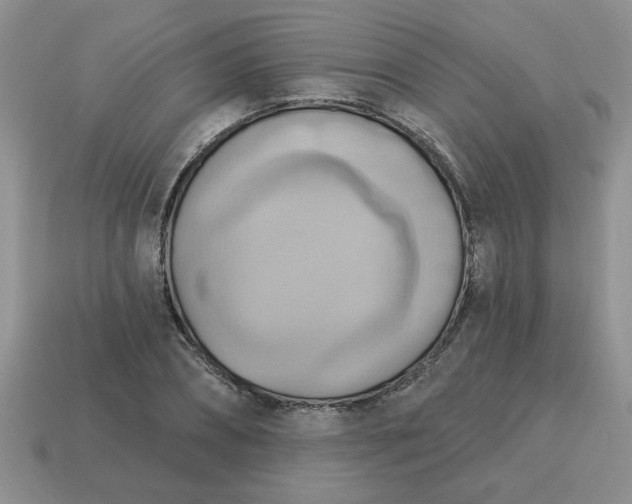 X0000115030882200911091340