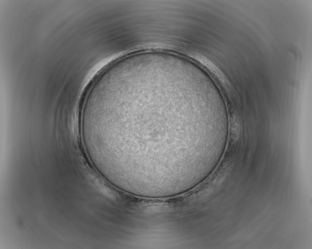 X0000115030886200911091340