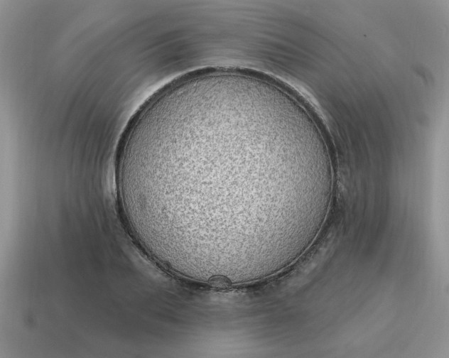X0000115030887200911091340