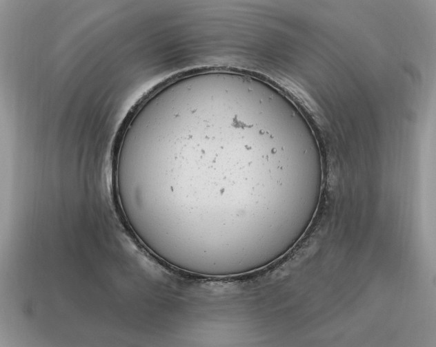 X0000115030888200911091340
