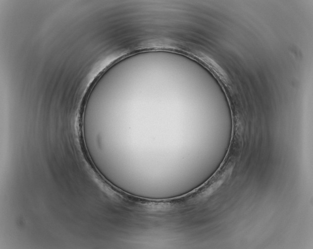 X0000115030893200911091340
