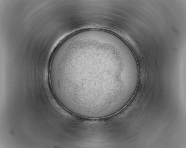 X0000115030896200911091340