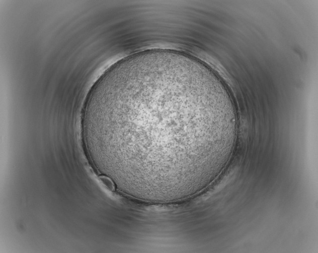 X0000115030898200911091340